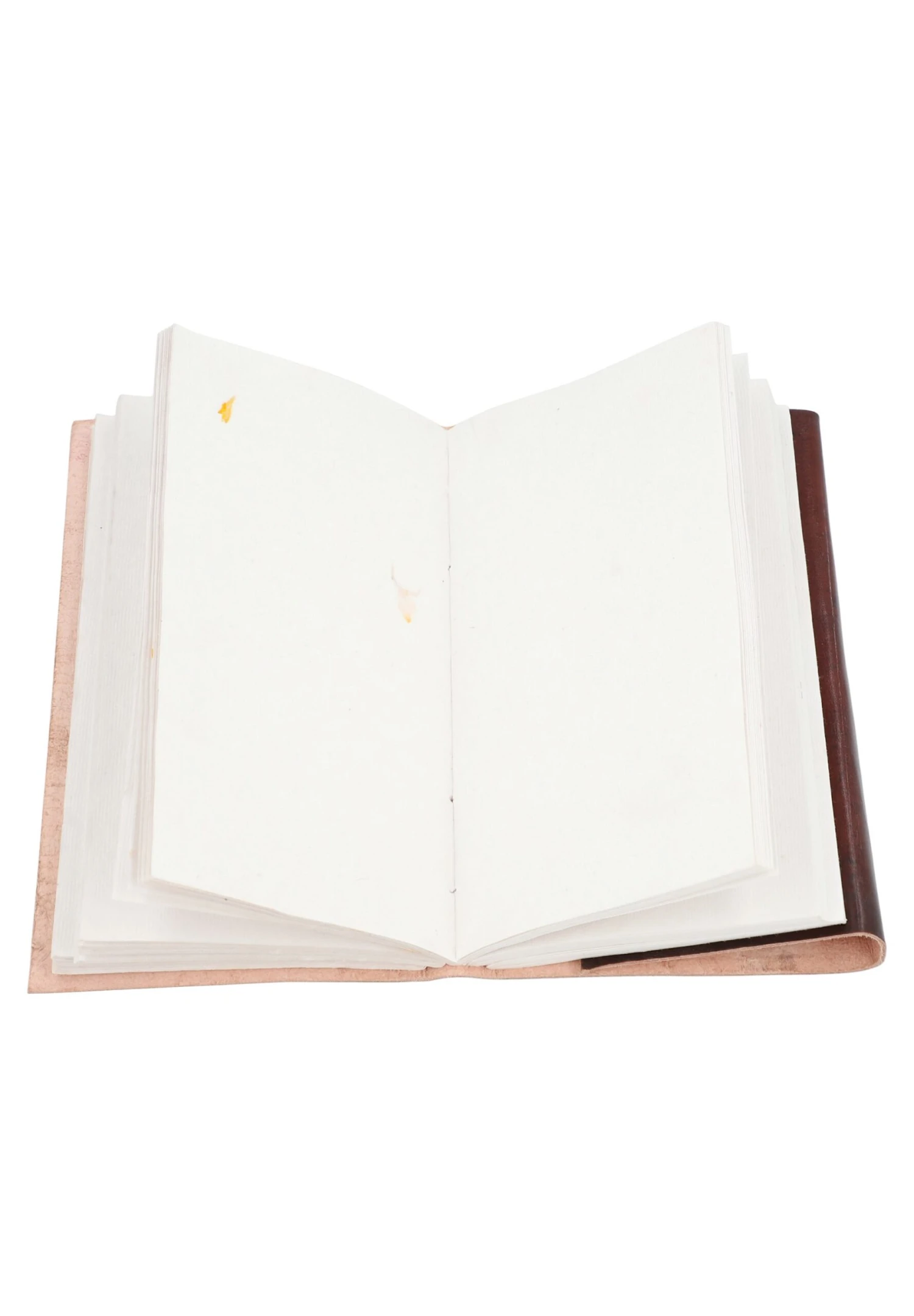 Sophia - Otros Accesorios - Braun 6 Sophia - Otros Accesorios - Braun - Imagen 4