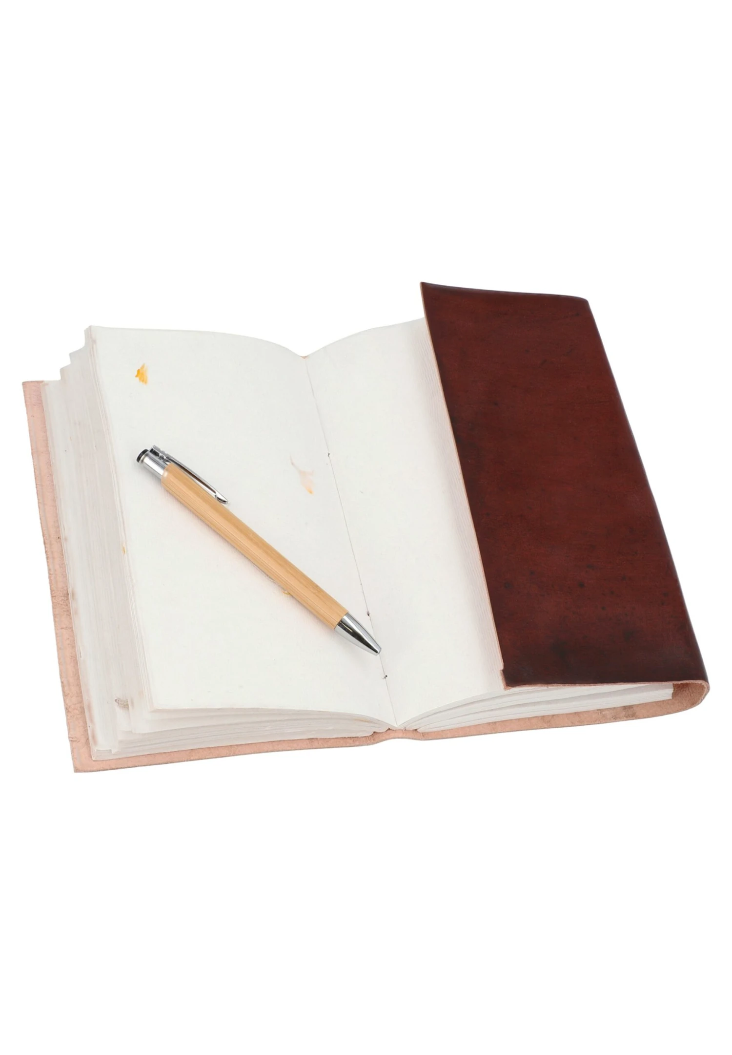 Sophia - Otros Accesorios - Braun 8 Sophia - Otros Accesorios - Braun - Imagen 6