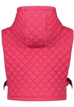 Taifun Wärmender Krageneinsatz Mit Kapuze - Otros Accesorios - Luminous Pink 11 Taifun Wärmender Krageneinsatz Mit Kapuze - Otros Accesorios - Luminous Pink -Tienda De Moda Femenina 793d6fe3cea347e489011b9e65b8c3e6
