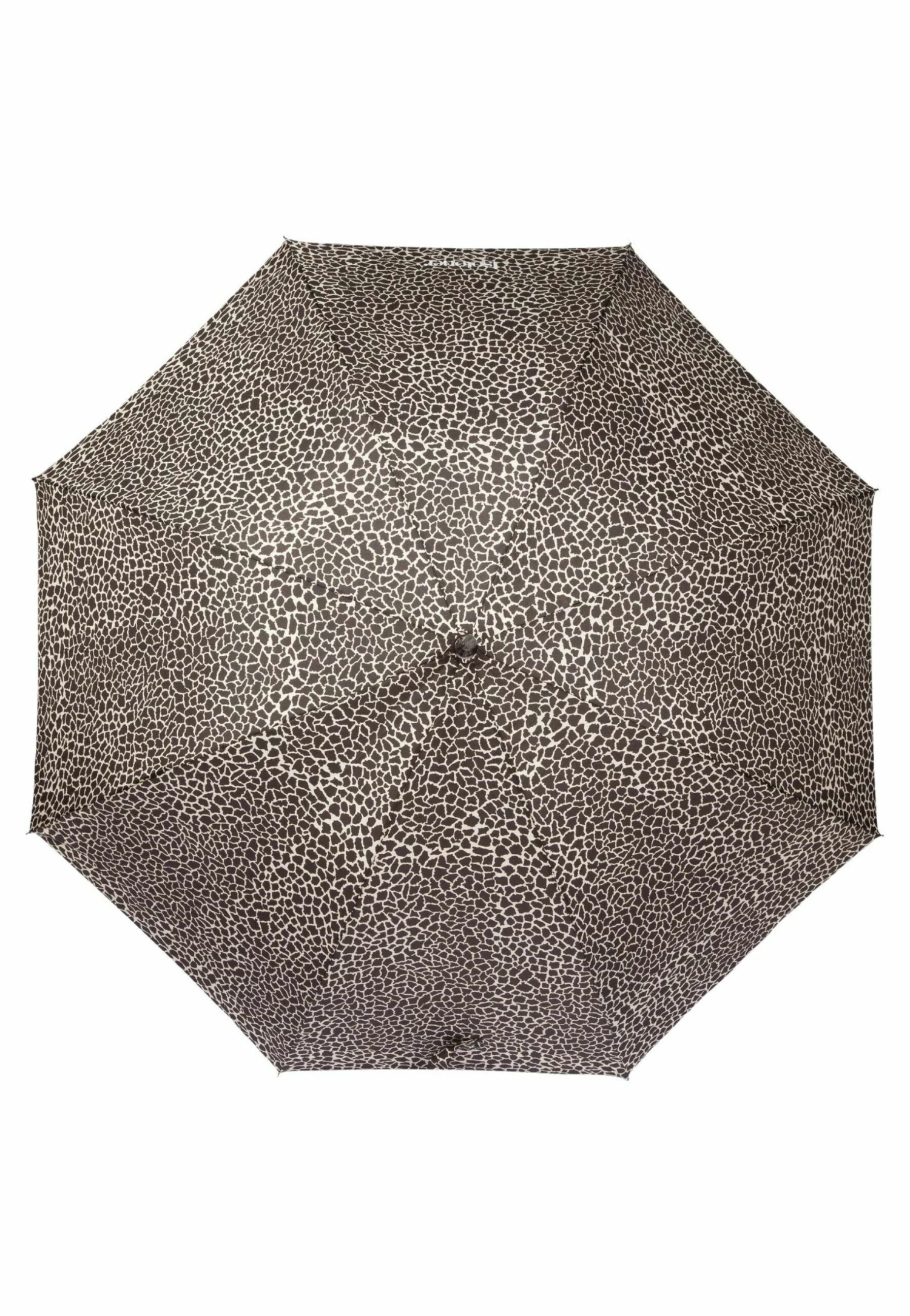 ISOTONER Ultra Slim - Paraguas - Beige 4 ISOTONER Ultra Slim - Paraguas - Beige - Imagen 2